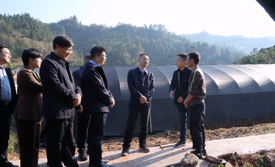 省農(nóng)業(yè)農(nóng)村廳赴古丈縣鲇溪村調(diào)研 推動(dòng)鄉(xiāng)村振興提質(zhì)增效
